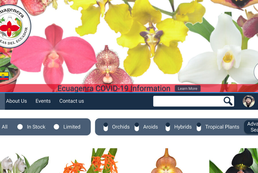 Ecuagenera redesigned home page with a streamlined header image, simplified menu, advanced search feature, and the orchids are now above the fold.
